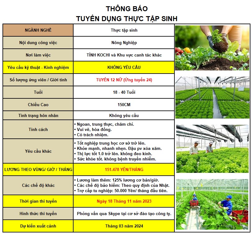 nong nghiep t18112024 1