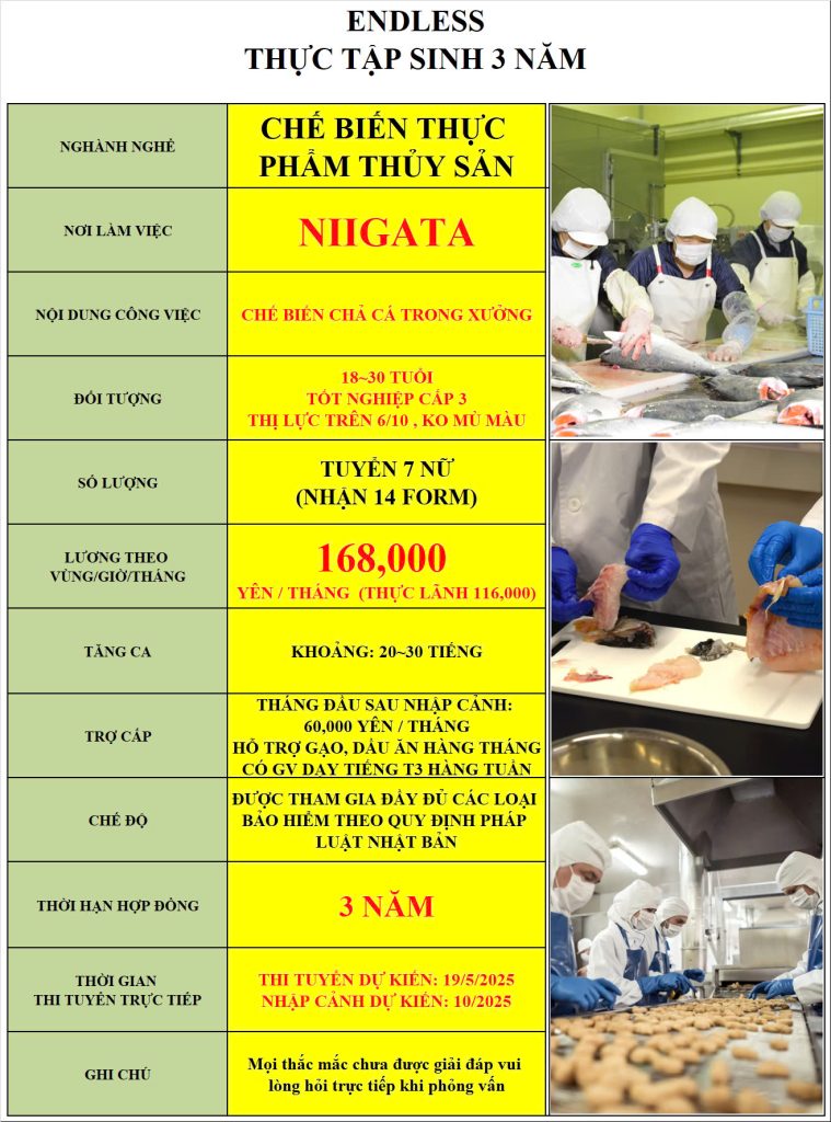 Chế biến thực phẩm thi tuyển 19/05/2025